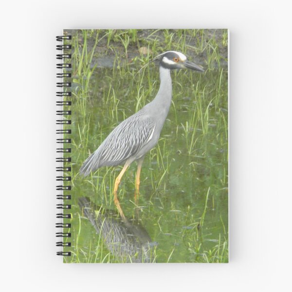 Item preview, Yellow Crowned Night Heron designed and sold by Navigator.