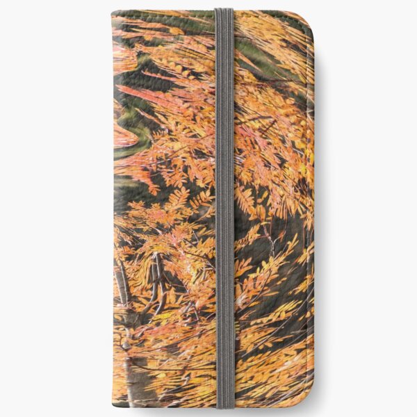 fall vortex iPhone Wallet