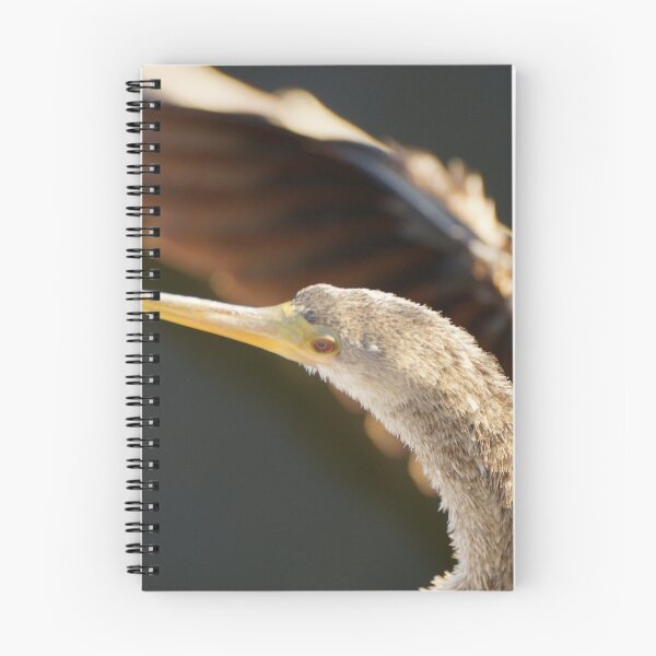 Item preview, Anhinga Head turn designed and sold by Scott Dovey.
