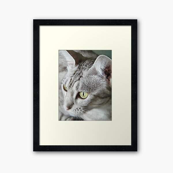 Item preview, Ice Cold Stare designed and sold by Emma Griffen.