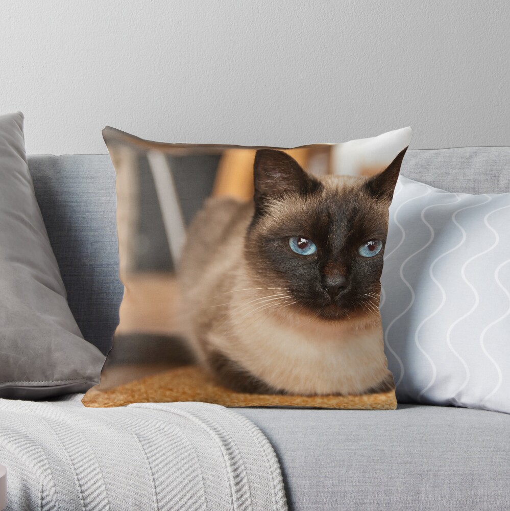 siamese cat pillow