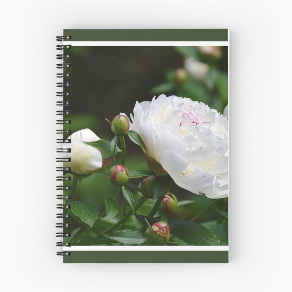 Item preview, Budding Peonies designed and sold by LizardSpirit.