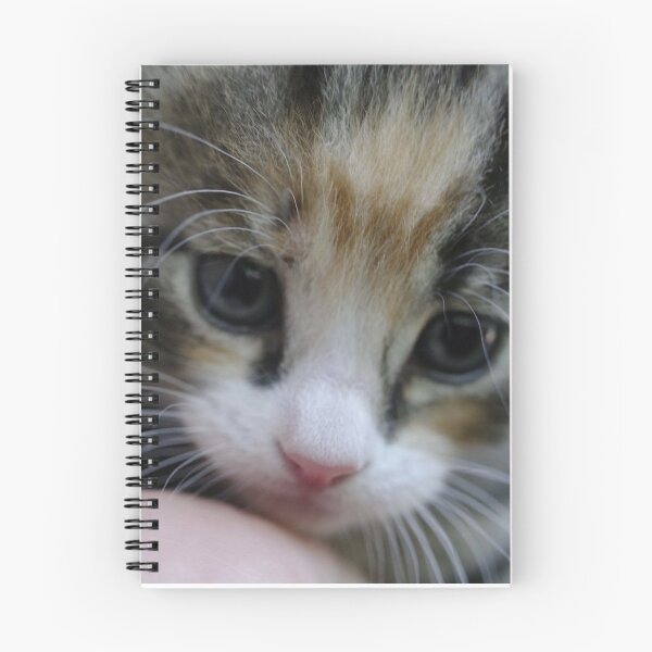 Aperçu de l'œuvre Chatons mignons chatons créée et vendue par cherfas.