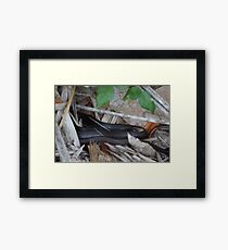 Black Racer Framed Print