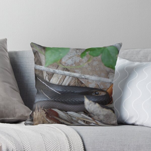 Item preview, Black Racer designed and sold by Scott Dovey.