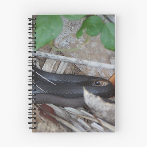 Item preview, Black Racer designed and sold by Scott Dovey.