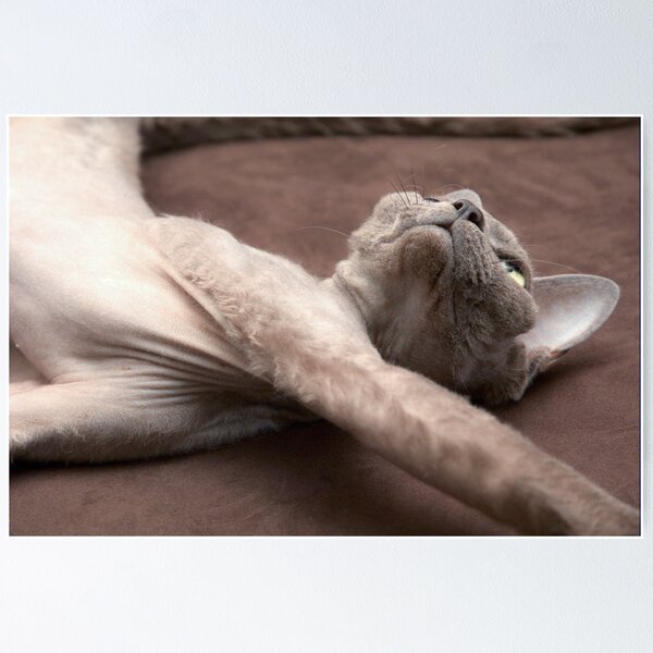 If I just lay here... Poster