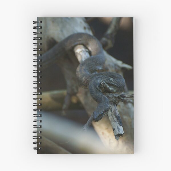 Item preview, Serpent in a tree designed and sold by Scott Dovey.