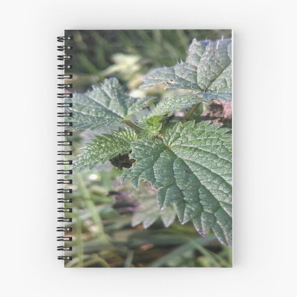 Item preview, Stingy Nettle designed and sold by MoonRushers.
