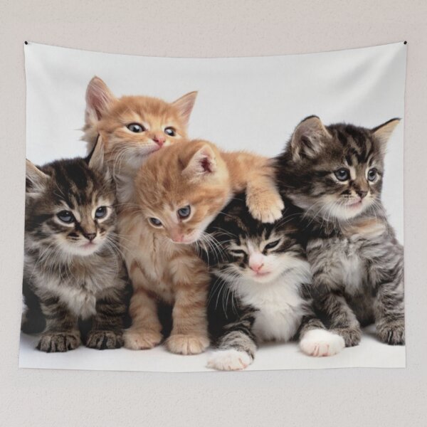 Item preview, CUTE CATS FLUFFY KITTEN designed and sold by cherfas.
