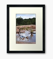 circle of nature Framed Print