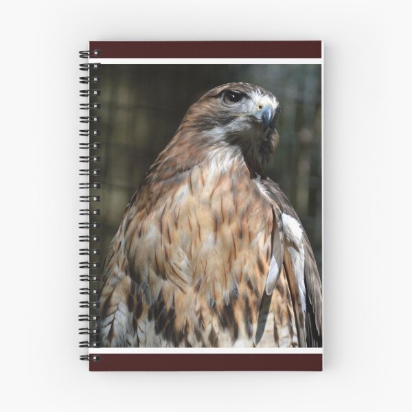 Item preview, Red Tailed Hawk   designed and sold by LizardSpirit.