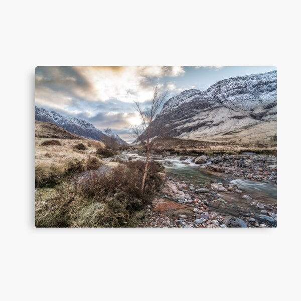 Item preview, River bank tree designed and sold by Barno123.