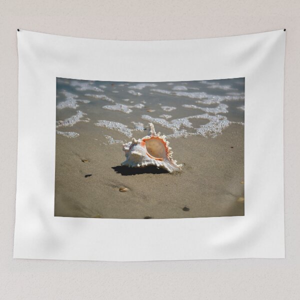 Item preview, Shell Splendor designed and sold by Lynnrmorris.