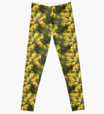 Daffodils Leggings