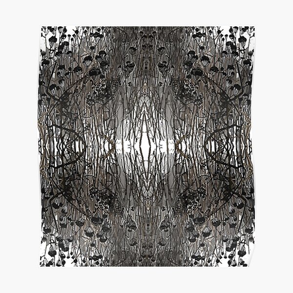 #Tree #Monochrome #Pattern #Design Symmetry nature tree wood old pattern dry Poster