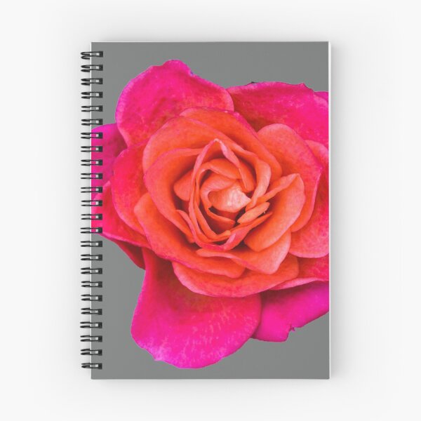 Item preview, Pink Rose designed and sold by C.T. Photography.