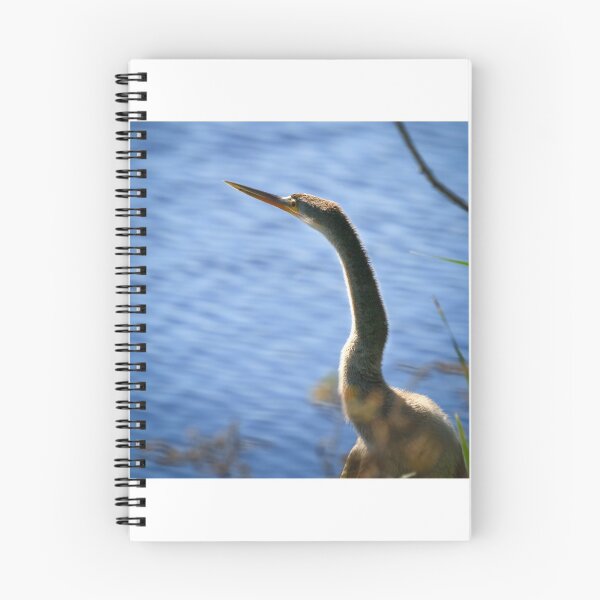Item preview, Eyes to the Sky designed and sold by YelloCoyote Photography.