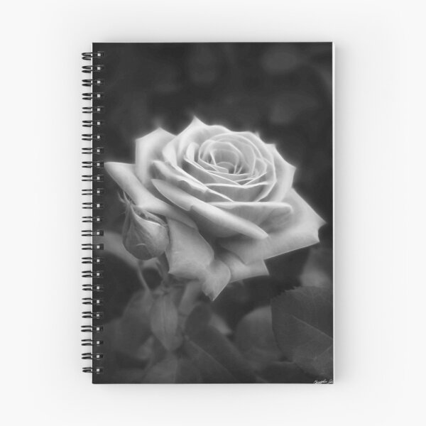 Item preview, Pink Roses in Anzures 3 B&W designed and sold by TravelPhotoArt.