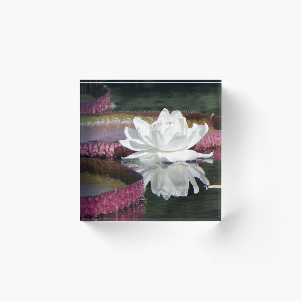 Item preview, Acrylic Block designed and sold by BeeGarland.