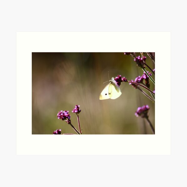 Item preview, Butterfly in Blackheath designed and sold by Annmb78.