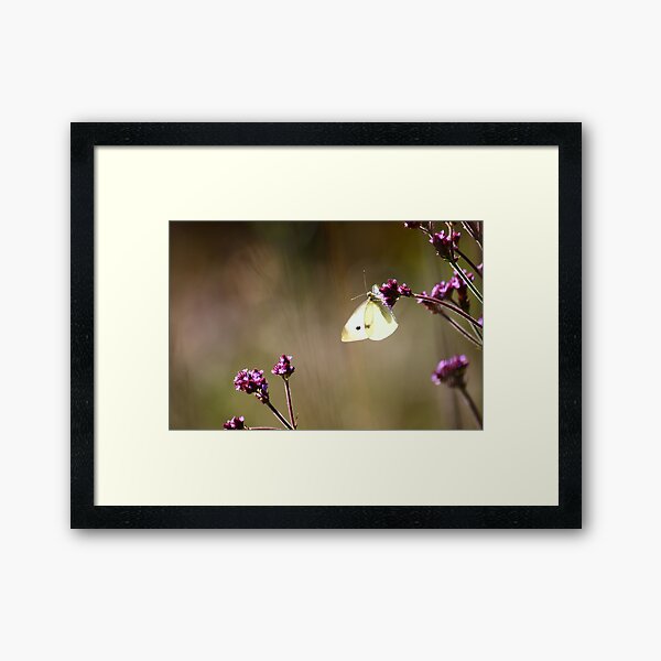 Item preview, Butterfly in Blackheath designed and sold by Annmb78.