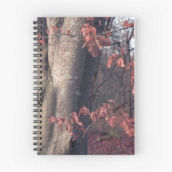 Item preview, Beech Detail designed and sold by ShinyPhoto.