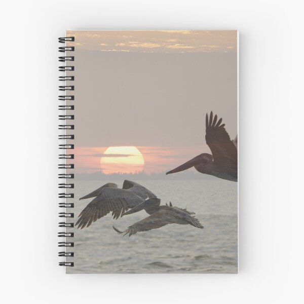 Item preview, Cloudy Pelican Sunset designed and sold by Scott Dovey.