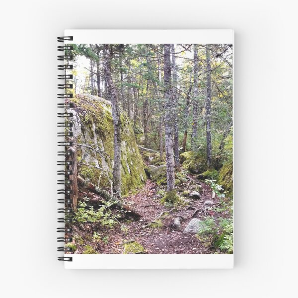 Item preview, Fall in the forest designed and sold by Totallyalive.