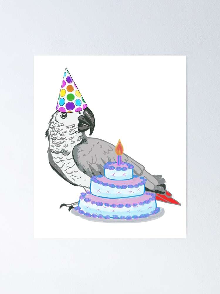 Poster Joyeux Anniversaire Perroquet Gris Par Drknice Redbubble Poster Joyeux Anniversaire Perroquet Gris Par Drknice Redbubble