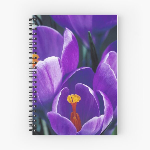 Item preview, Beautiful flowers, Crocus, Purple and blue flowers. designed and sold by cherfas.