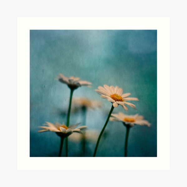 Reaching out Art Print