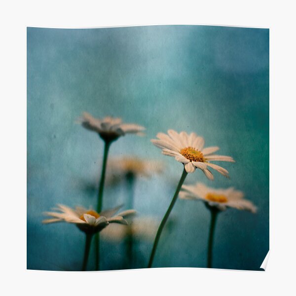 Reaching out Poster