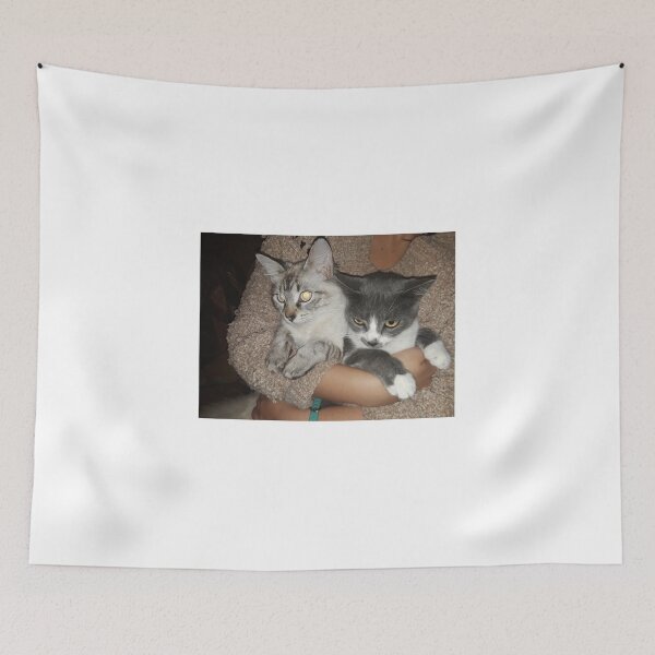 Item preview, CUTE CATS LENA THE PLUG  designed and sold by Jarred Chaisson.