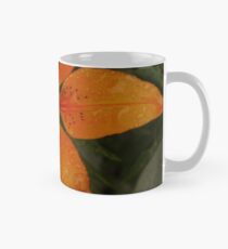 Freckles Mug