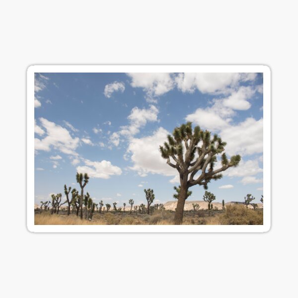 Item preview, Joshua Tree Desert designed and sold by RILEY J MEDIA.