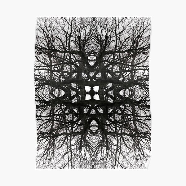 black and white woven tree branches Poster