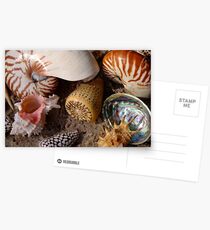 Suzie Sells Seashells by the Seashore! Postcards