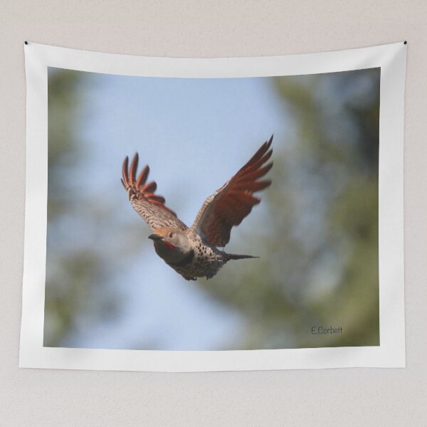 Item preview, Flying Flikka designed and sold by Penwortham.