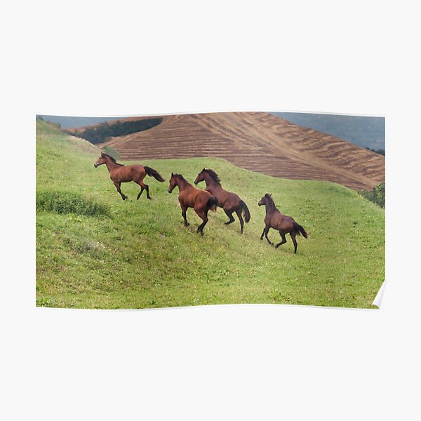 running horses Poster