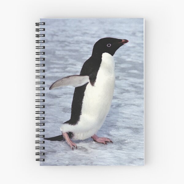 Item preview, Adelie Penguin Walking on the Fast Ice designed and sold by Carole-Anne.