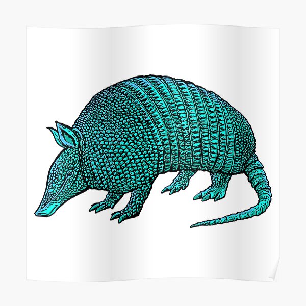 armadillo Poster