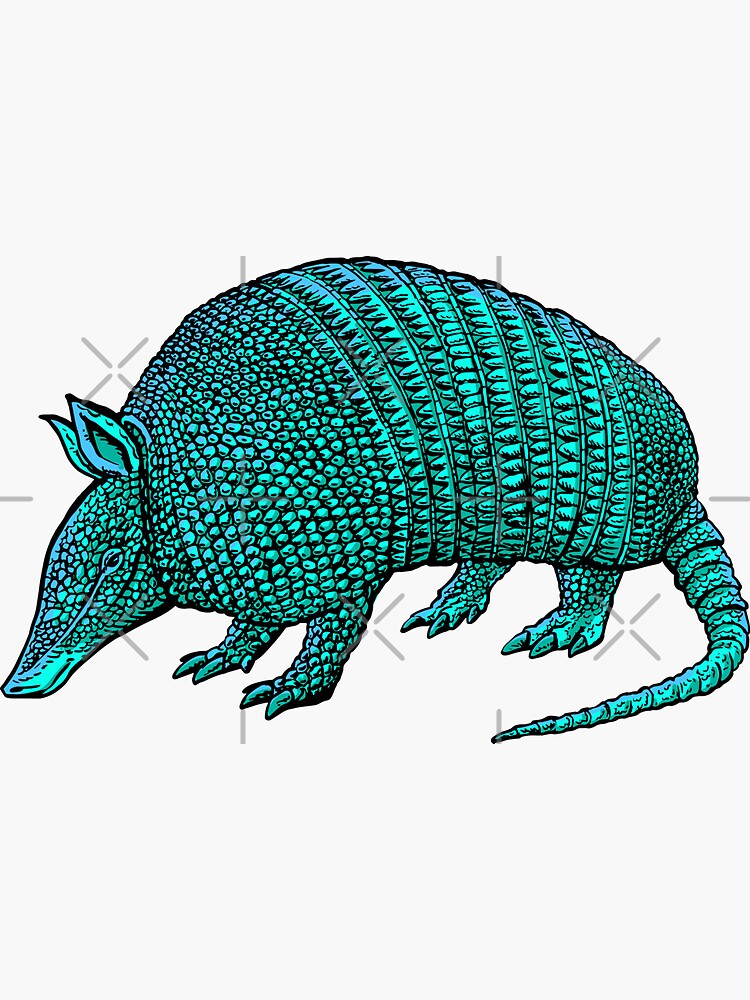 armadillo by duxpavlic