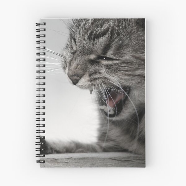 Item preview, Rawr! designed and sold by Catherine Radley.