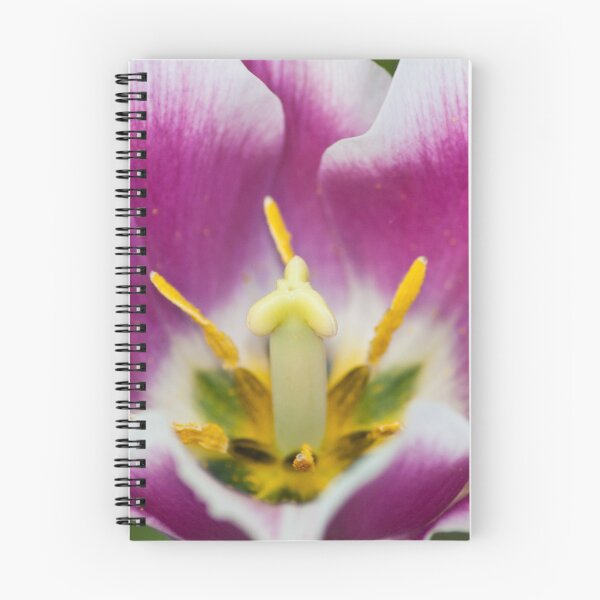 Item preview, tulip flower interior designed and sold by BBS ART.