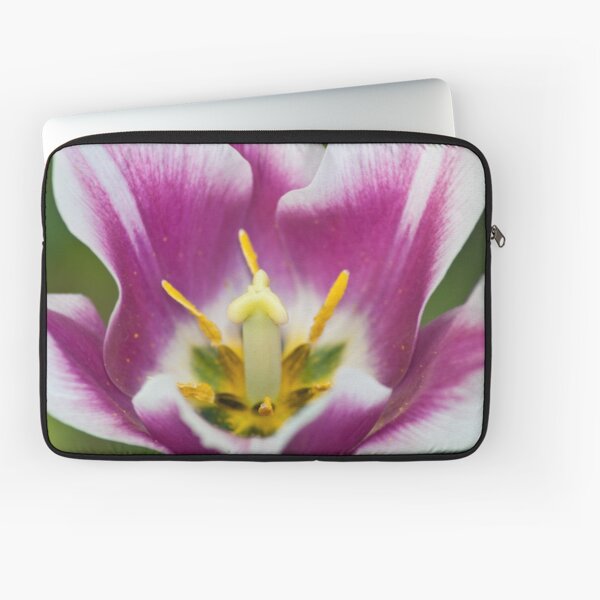 tulip flower interior Laptop Sleeve