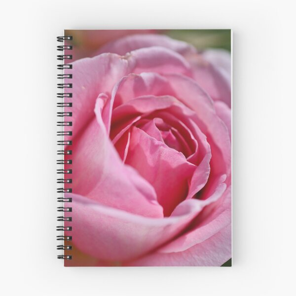 Item preview, Dazzling In Pink Rose designed and sold by Joy Watson - Natural Light Photography .