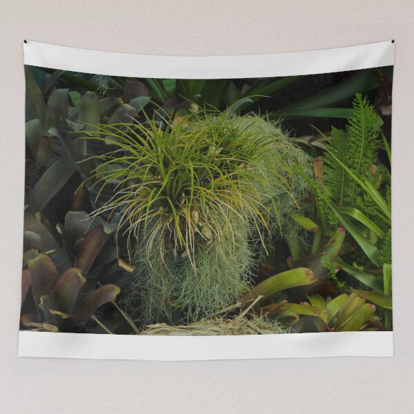 Item preview, Green and serene: tropical plants designed and sold by FranWest.