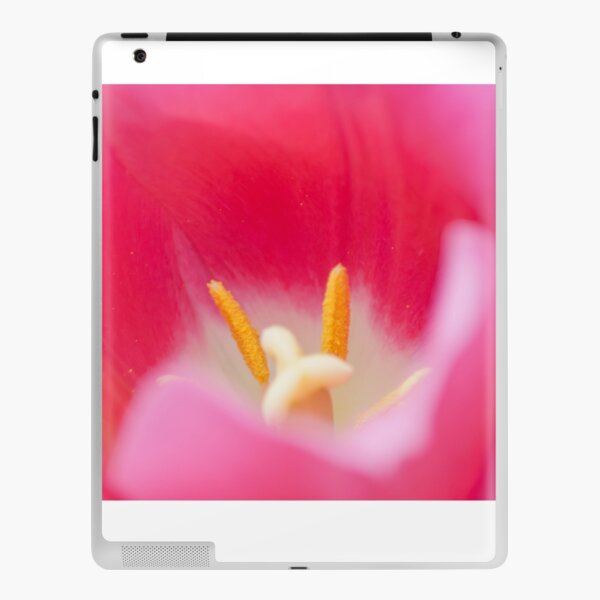 dream atmosphere iPad Skin