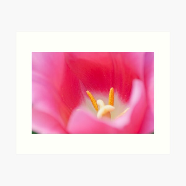 dream atmosphere Art Print